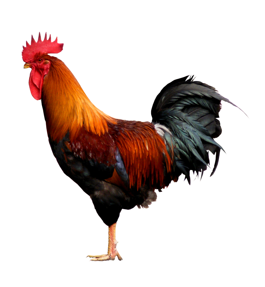 បងជីវ័ន